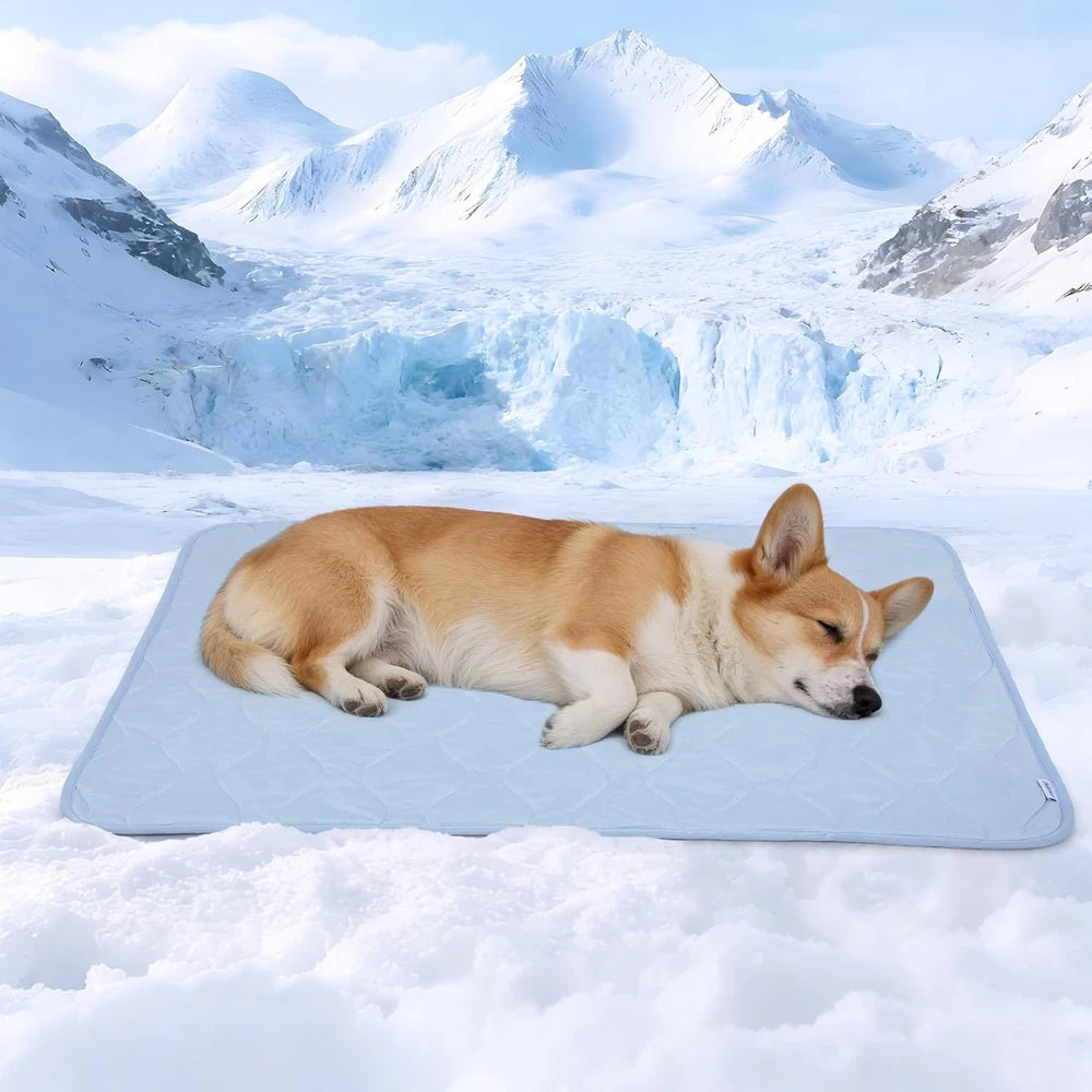 Cooling Dog Blanket Waterproof