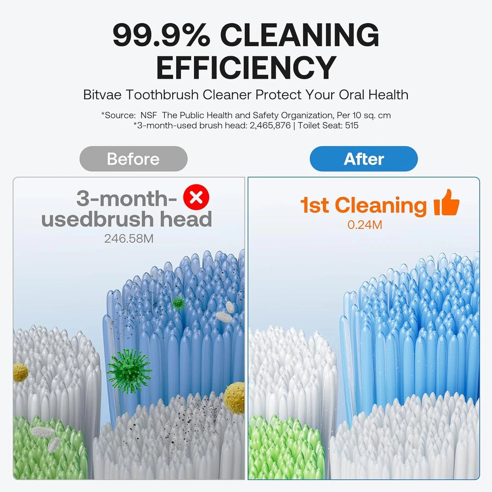 Bitvae UV Toothbrush Holder