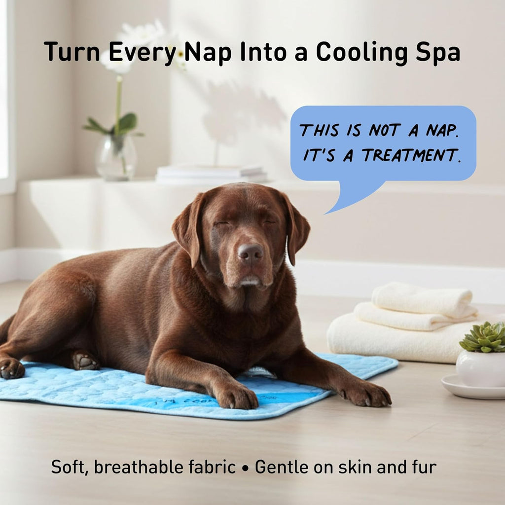 CoolPaws Travel Cooling Mat